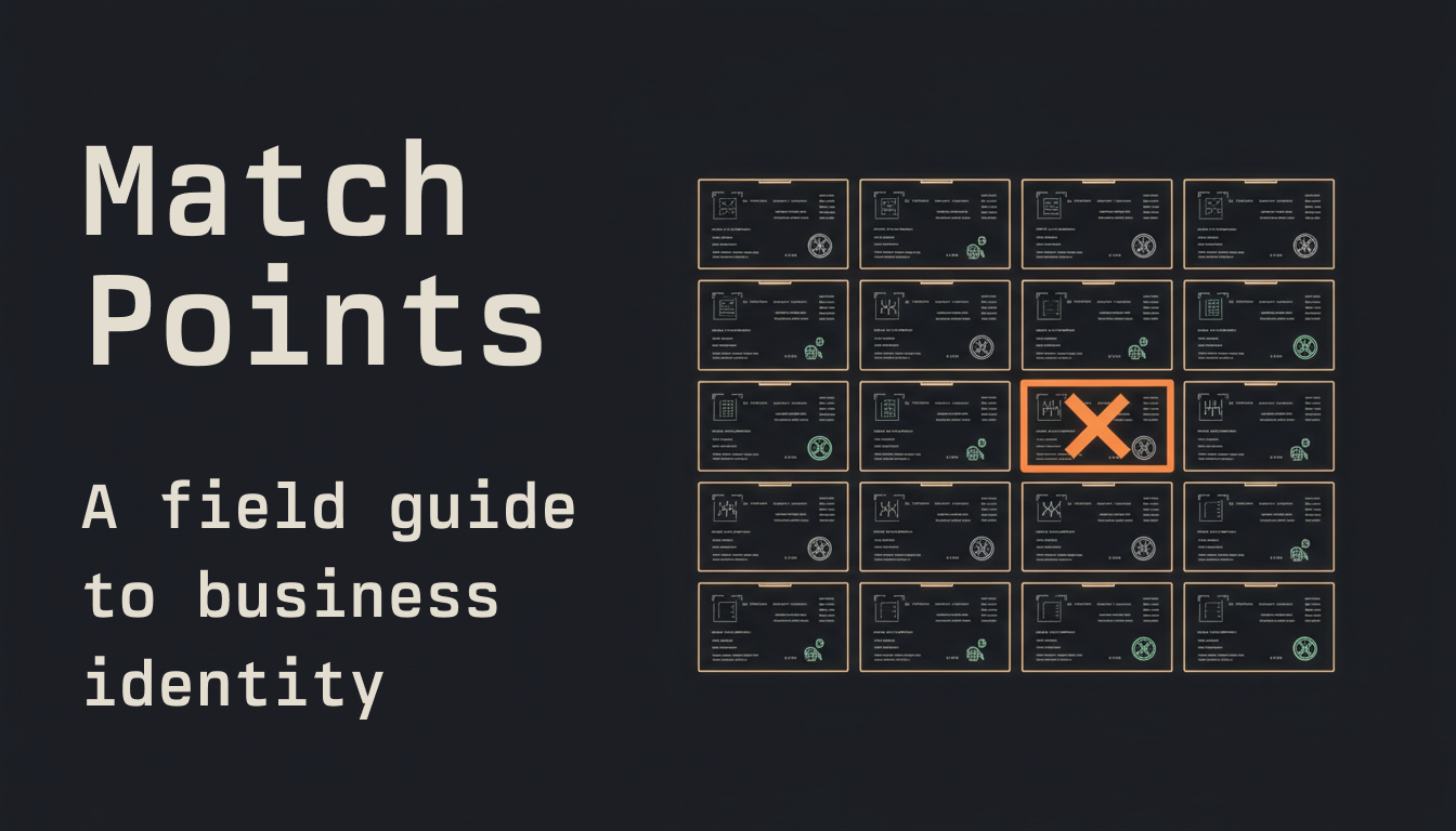 Match Points: A Field Guide to Business Identity 